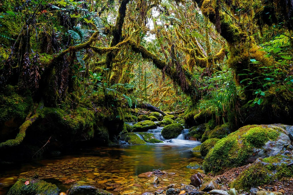 Gunung Leuser National Park by YD6VXO